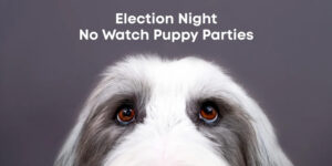 Бренди спираються на суперечливі вибори в США