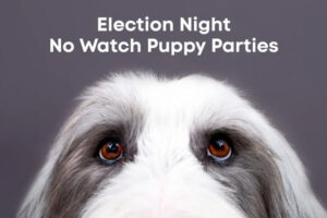 Бренди спираються на суперечливі вибори в США