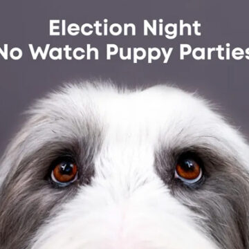 Бренди спираються на суперечливі вибори в США