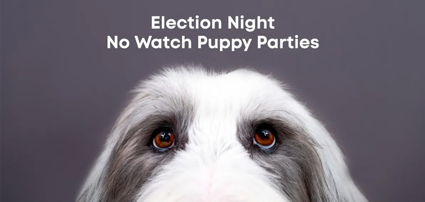 Бренди спираються на суперечливі вибори в США