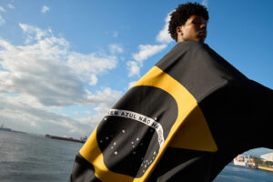 Lifeless Flag кампанія — синій річковий дельфін і зелений ліс у жовтому ромбі прапора Бразилії як символ залежності природи від океану